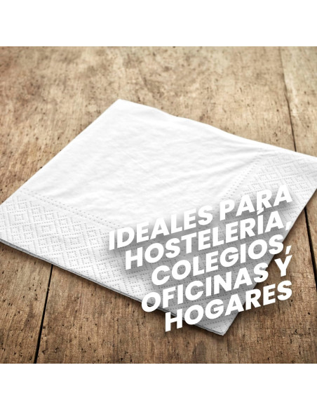 SERVILLETA CELULOSA BLANCA BLANCOPLATA 2 CAPAS 40X40 2400 UNIDADES