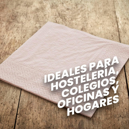 SERVILLETA 20x20 2/C NATURAL...