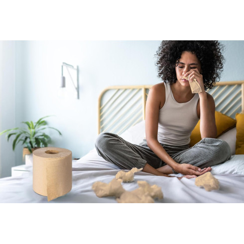 RECAMBIO SERVILLETAS SOFTNAP NATURAL...