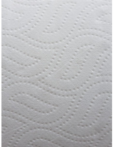 PAPEL WC.IND.100M 2C... 2