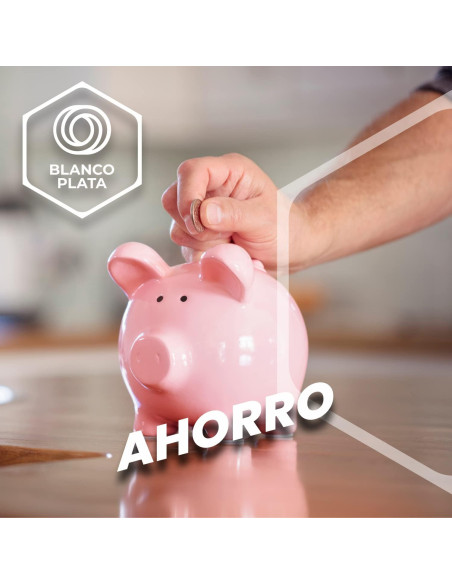 LIMPIADOR GENERAL CON LEJÍA BLANCOPLATA 1L 1 UNIDAD