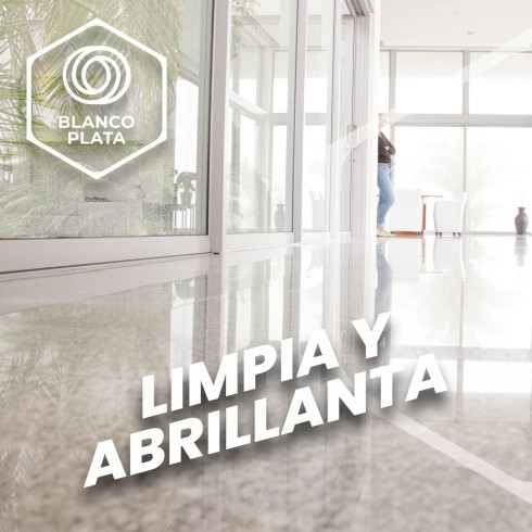 FREGASUELOS SECA-RÁPIDO VIOLETA...