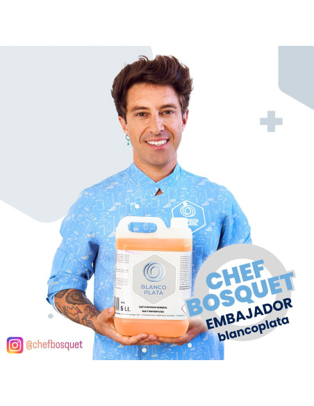 QUITAGRASA GENERAL MULTISUPERFICIES BLANCOPLATA  5L