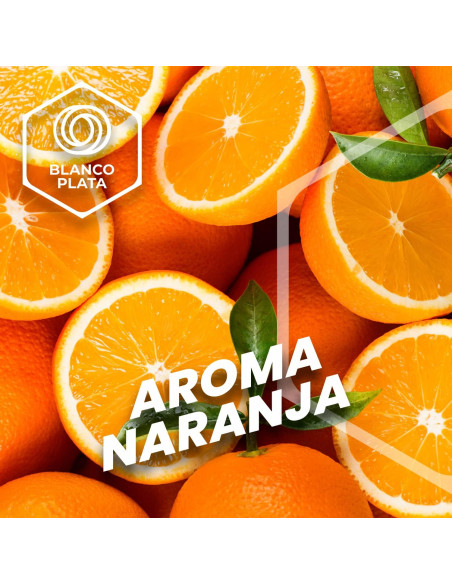 LIMPIACRISTALES MULTIUSOS 2 EN 1 BLANCOPLATA 5L