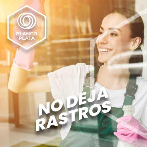 LIMPIACRISTALES MULTIUSOS 2 EN 1...