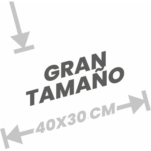 BAYETA MICROFIBRA GRIS...