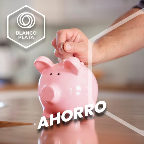 LIMPIADOR BAÑOS SIN LEJÍA 1L BLANCOPLATA