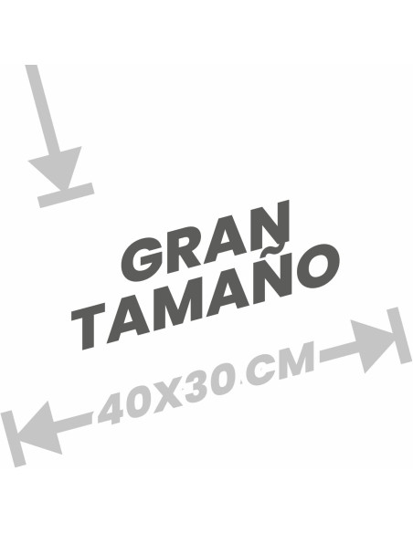 BAYETA MICROFIBRA ROJA MULTISUPERFICIES 40X30CM BLANCOPLATA 6 UNIDADES