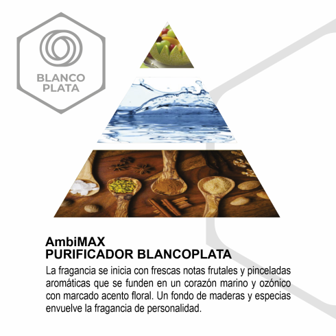 RECAMBIO AMBIMAX PURIFICADOR SOFT...