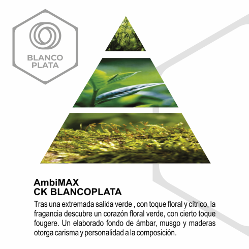 RECAMBIO AMBIMAX FRAGANCIA CK PLUS...